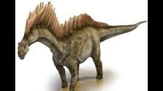 Amargasaurus