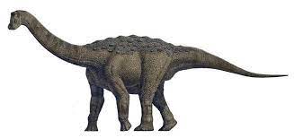 Rapetosaurus