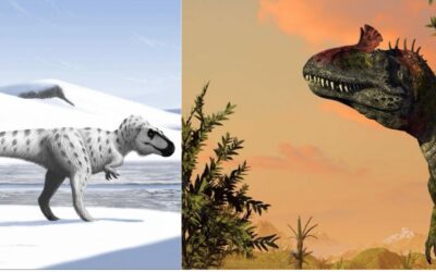 Frozen Fight: Crylophosaurus Vs Nanuqsaurus