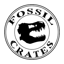 2024, Year of the dinosaur: Interview with Fossil Crates