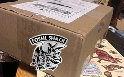 Fossil Shack Gift Box Opening