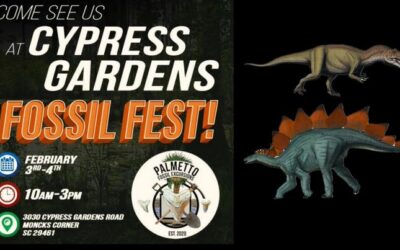 Fossil Fest and Jurassic Showdown: Allosaurus Vs Stegosaurus