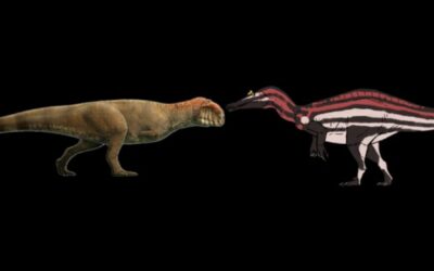 Madagascar predator vs British spinosaurs: Majungasaururs vs Riparovenator