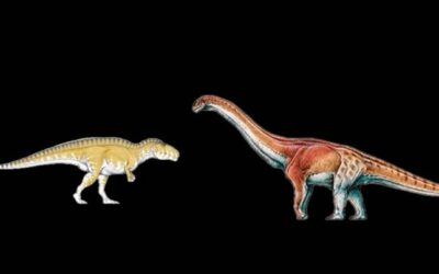 Super Titan V High Spined Lizard: Patagotitan Vs Acrocanthosaurus