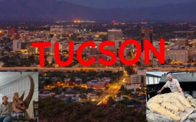 Tucson Fossil show interview with Rex Creek Discoveries and Fossil Shack