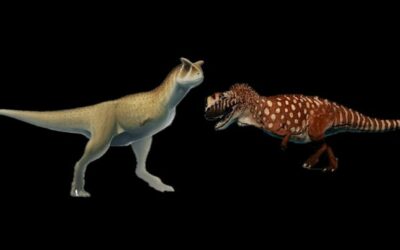 Crest VS Horn: Carnotaurus vs Ceratosaurus