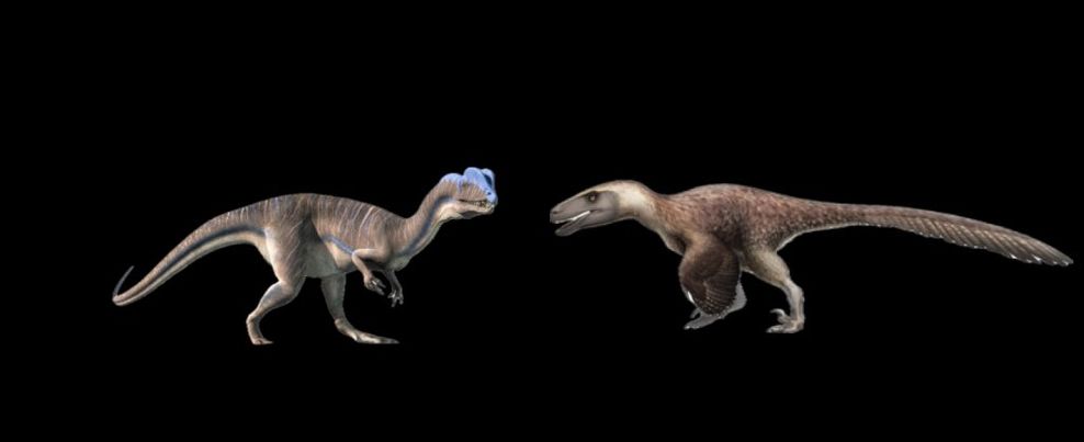 Double Crest Vs Utah: Dilophosaurus Vs Utahraptor