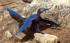 Winged Terror: Microraptor