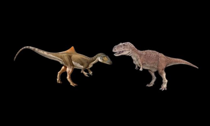 sauropod hunter vs ridge back Abelisaurus Vs Concavenator