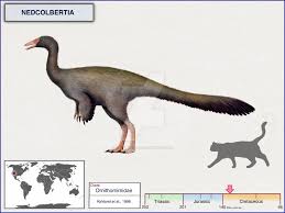 Edwin Harris Colbert’s Dinosaur Nedcolbertia