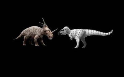 Big Horn Vs Alaskan Rex styracosaurus vs nanuqsaurus