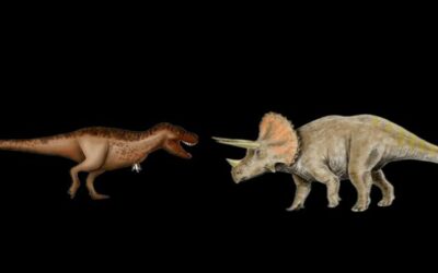 The Classics Trex Vs Triceratops