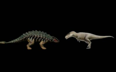 Tank Vs Shark tooth Ankylosaur Vs Carcharodontosaurus