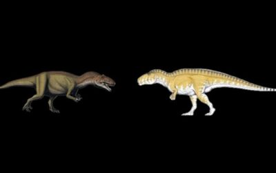 Terror of the south Vs Jurassic Classic Allosaurus vs Acrocanthosaurus