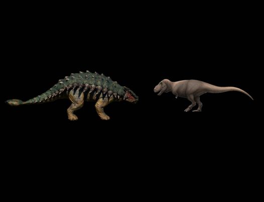 Tank Vs The Alarming Lizard Ankylosaurus Vs Tarbosaurus