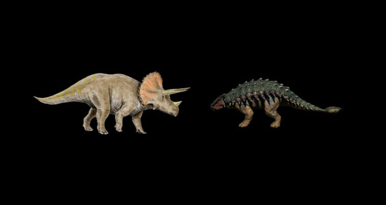 Finally Horns Tank Vs Horns Ankylosaurus Vs Triceratops