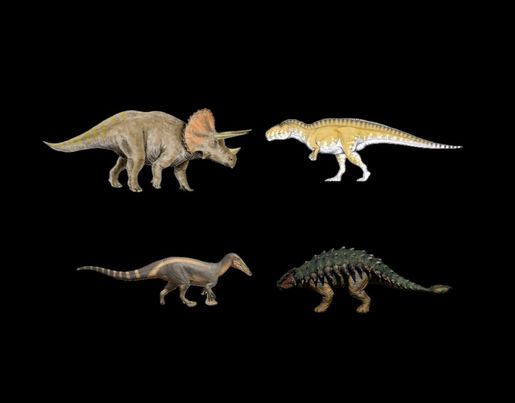 Semi Finals Triceratops vs Acrocanthosaurus and Suchiomimus Vs Ankylosaurus