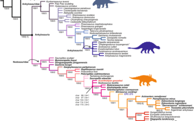 ankylosaur/stegosaur family tree