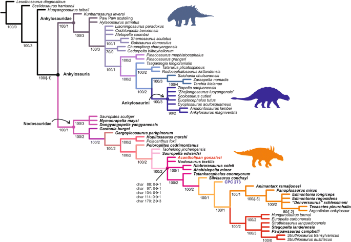 ankylosaur/stegosaur family tree