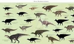 Hadrosaur Family Tree