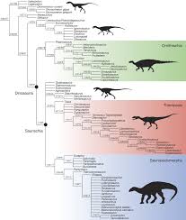 Dinosaur family tree