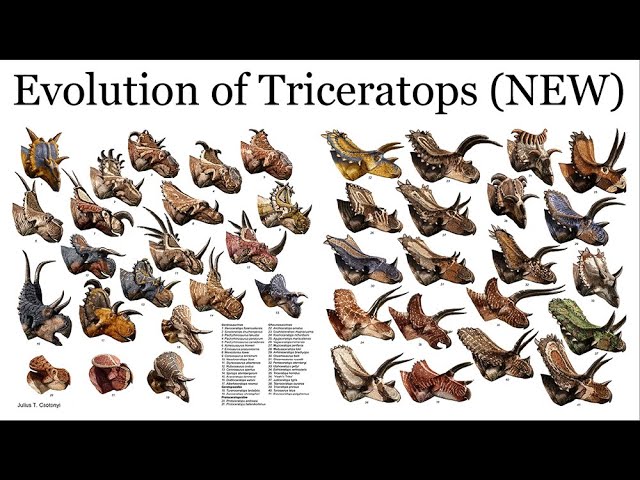 Ceratopsian family tree