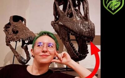 Uncovering Deep Time: Interview with Palaeontologist Blandine Hautier – Fossil Prep & Science Stories