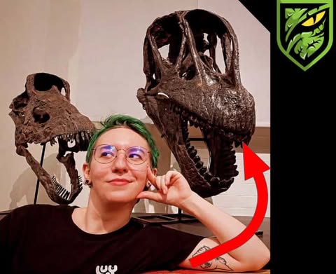 Uncovering Deep Time: Interview with Palaeontologist Blandine Hautier – Fossil Prep & Science Stories