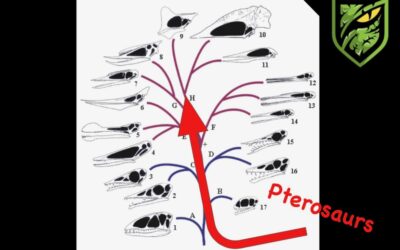 Untangling the Pterosaur Family Tree: From Tiny Fliers to Giant Sky Kings