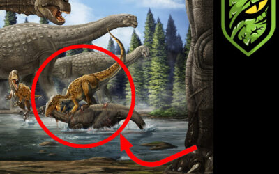 Unearthing Australia’s Megaraptorids 🦖 | Inside the World of Aussie Dinosaurs