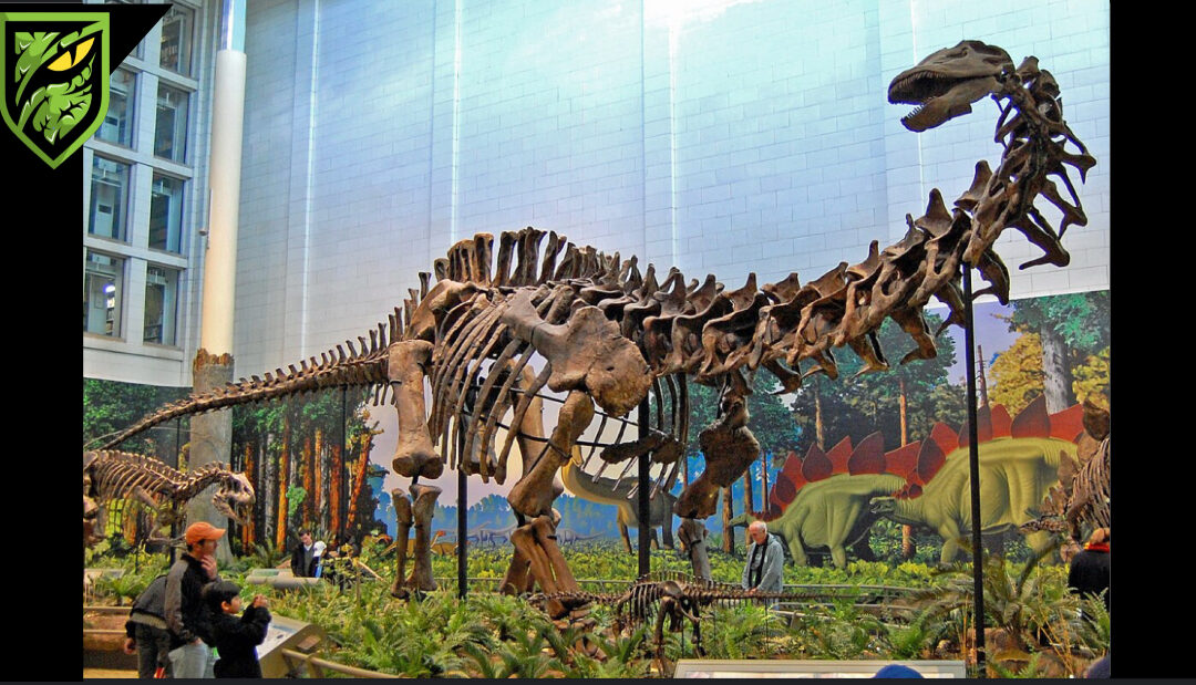 Reassessing the Evolutionary Tree & Biogeography of Diplodocoidea — New Insights into Sauropods
