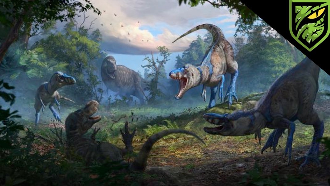 Nanotyrannus lethaeus: The Forgotten Tyrant King