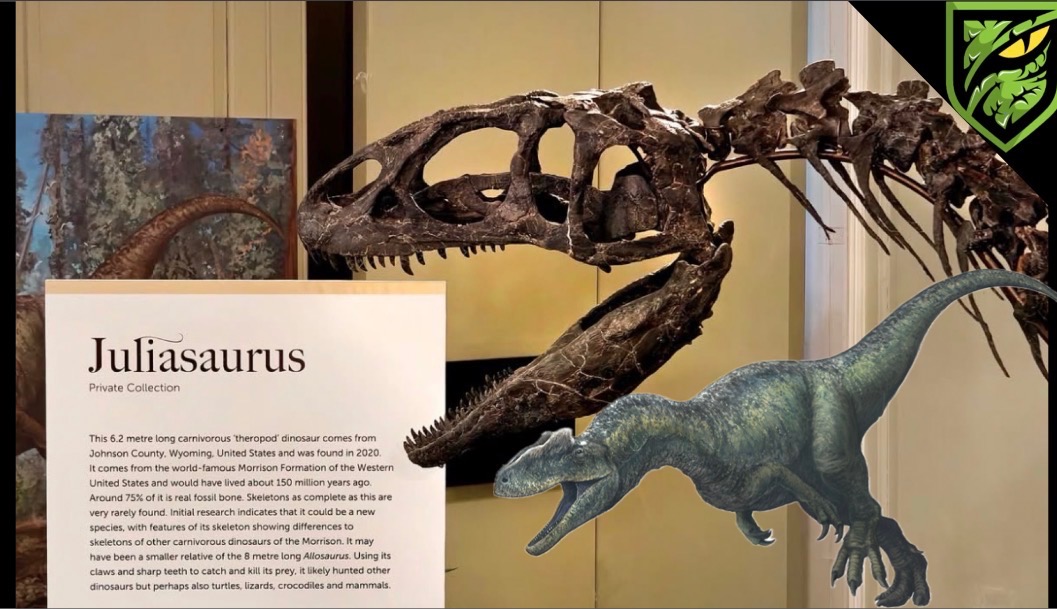 Meet Juliasaurus 🦖 | The Newly Discovered Dinosaur Changing What We Know