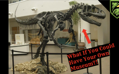 My Dinosaur Museum Design Explained (Full Floor Plan Tour)