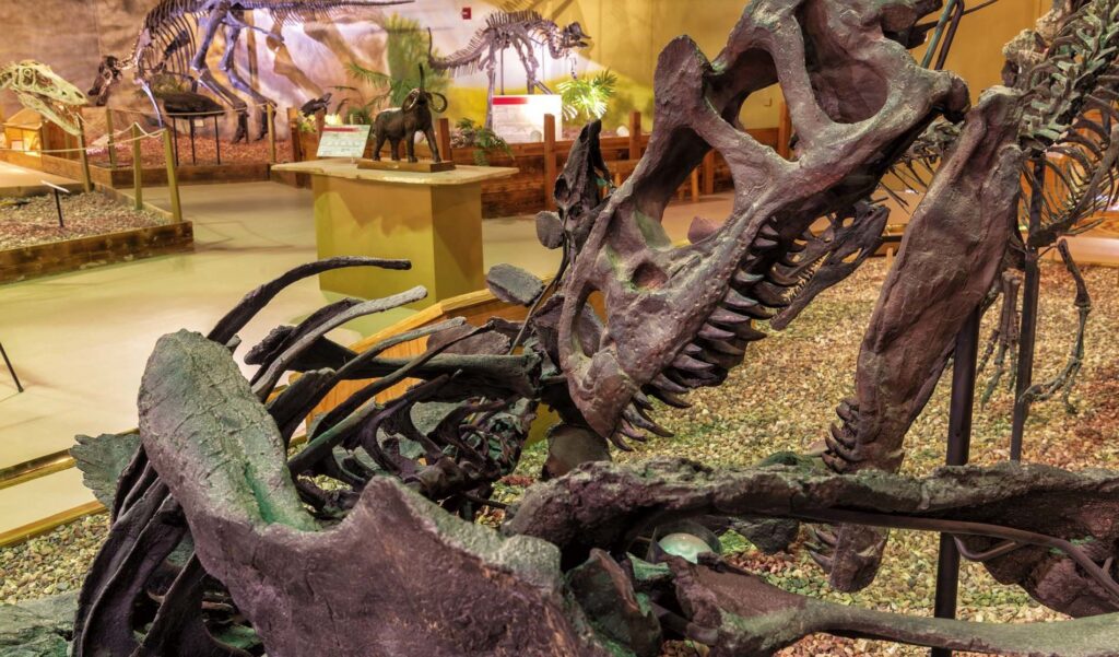 Wyoming Dinosaur Center