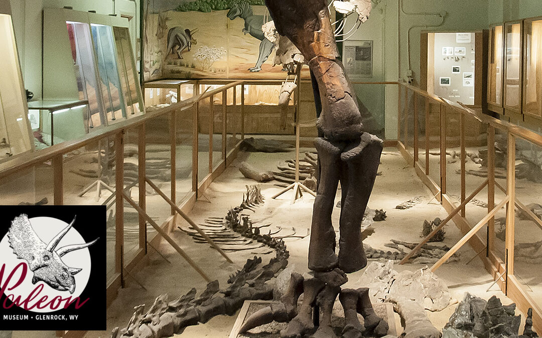 Glenrock Paleo Museum