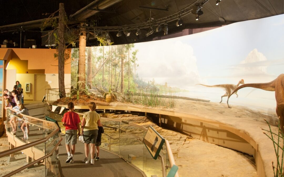 Dinosaur State Park