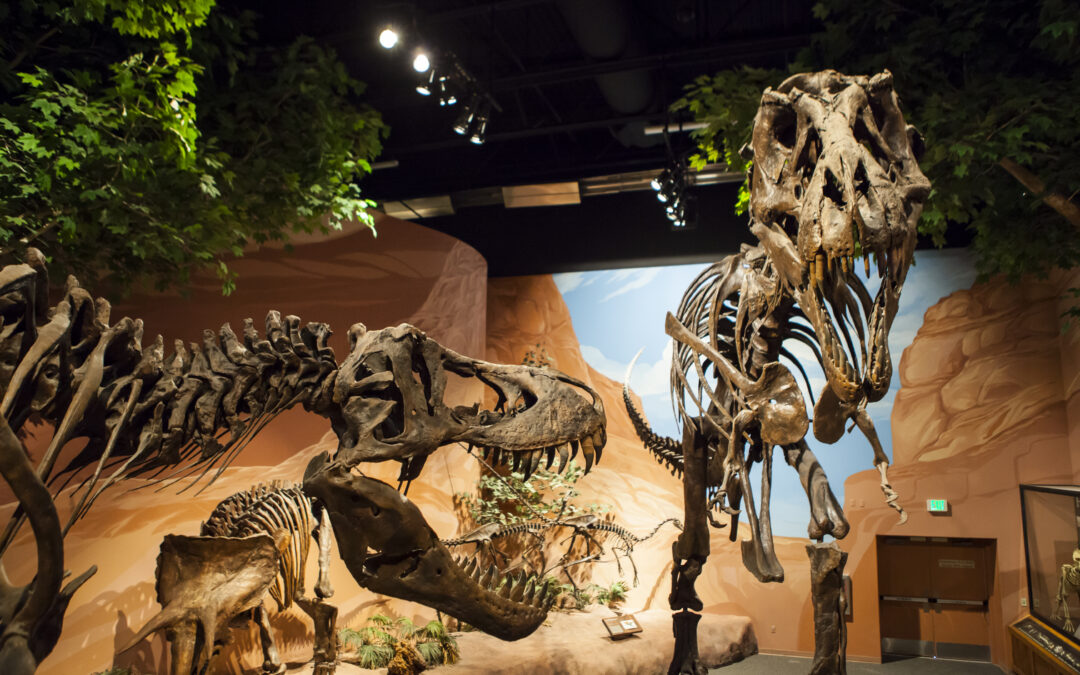 Mountain America Museum of Ancient Life at Thanksgiving Point
