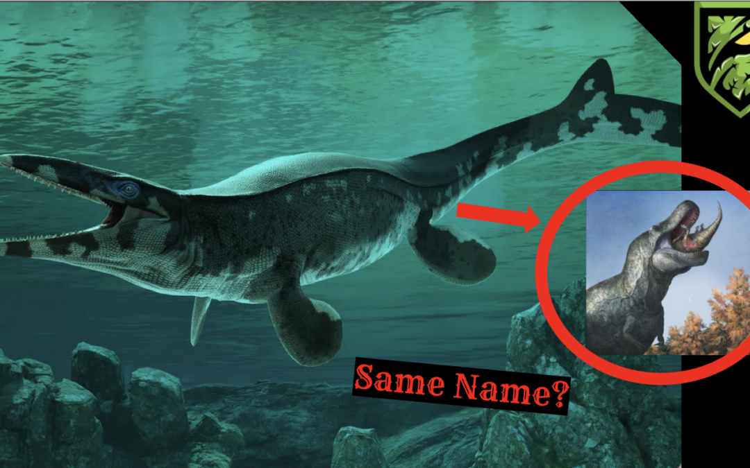 Tylosaurus rex: The Sea Monster That Became the Ocean’s T. rex 🦖🌊