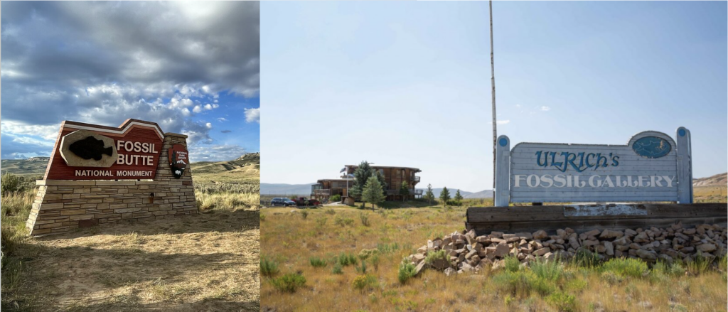Fossil Butte National Monument/Ulrich Fossil Gallery