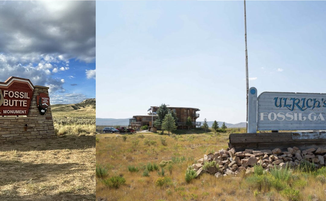 Fossil Butte National Monument/Ulrich Fossil Gallery