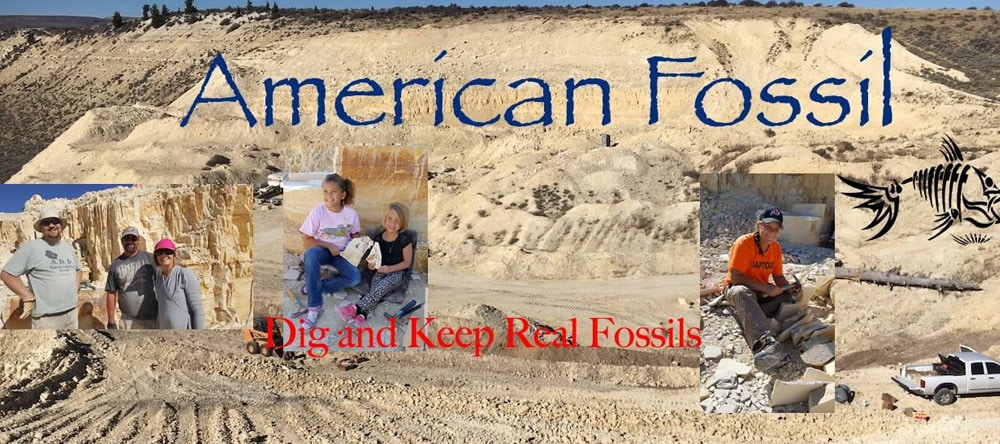 American Fossil Quarry