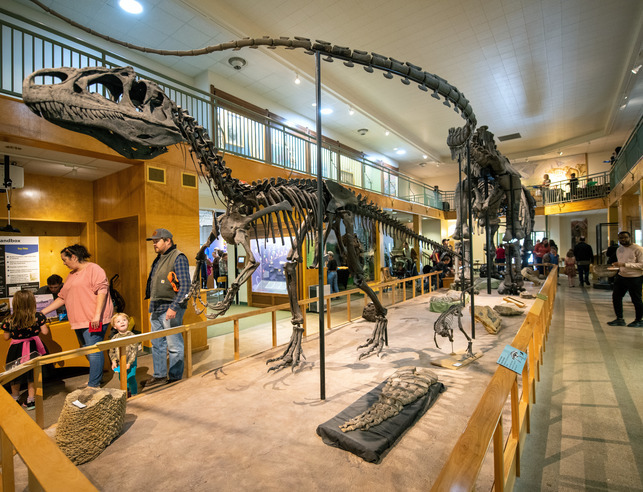 University of Wyoming Geological Museum