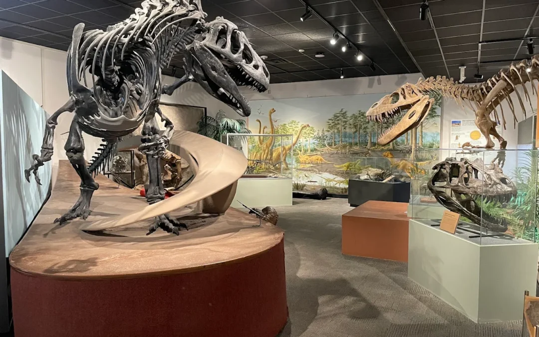 BYU Museum of Paleontology