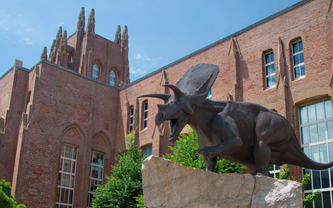 Yale Peabody Museum