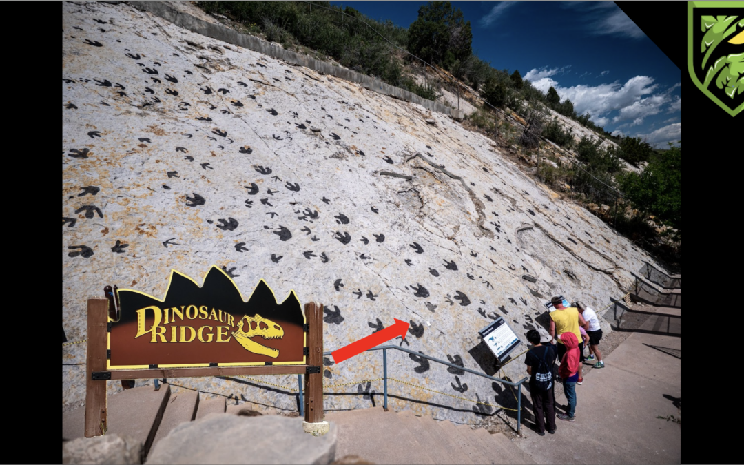 Exploring Dinosaur Ridge 🦖 | Walking Among Real Dinosaur Fossils in Colorado