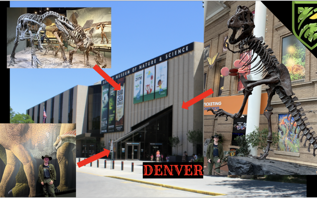 Exploring the Denver Museum of Nature & Science 🦖 | Dinosaurs, Fossils & Ancient Worlds