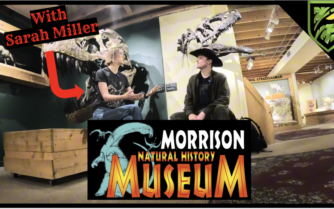 Inside the Morrison Natural History Museum 🦕 | A Paleontology Adventure with Sarah Miller