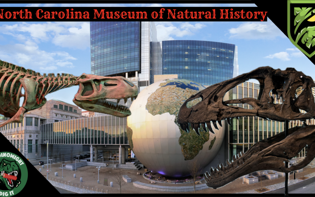 Our East Coast Road Trip BEGINS! | North Carolina Museum of Natural Sciences
