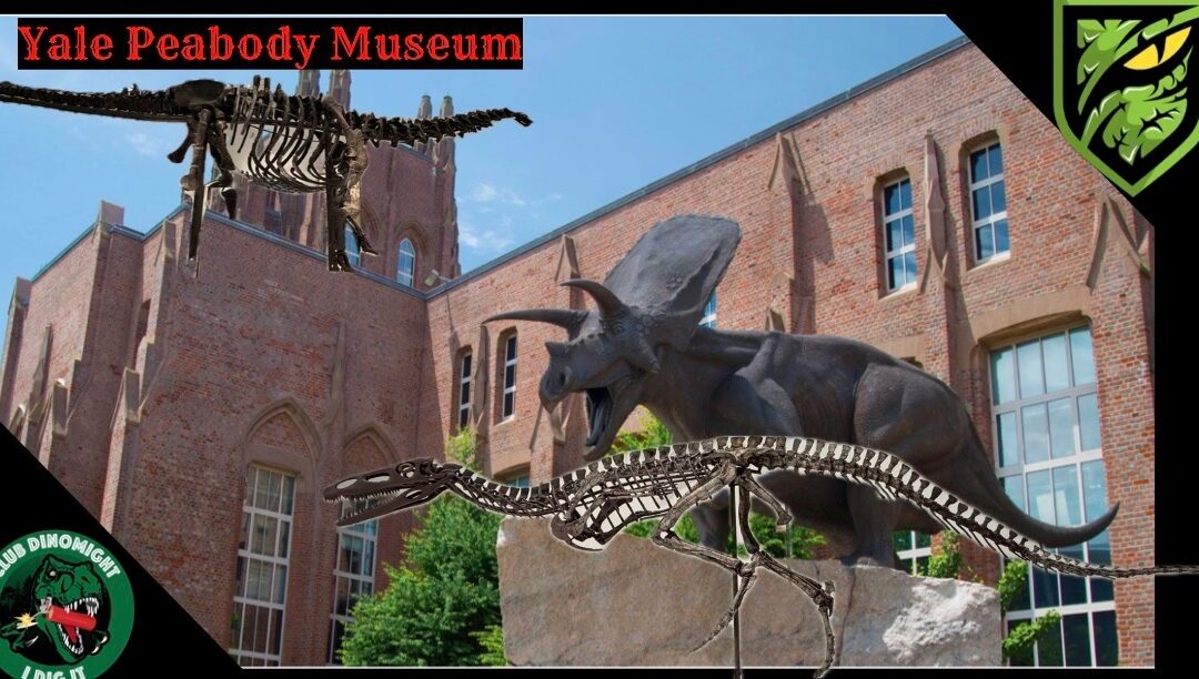 Exploring Yale’s Incredible Dinosaur Collection! | East Coast Road Trip 2026